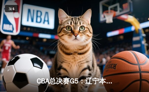 CBA总决赛G5：辽宁本钢加时险胜广东宏远，成功卫冕总冠军 - 3
